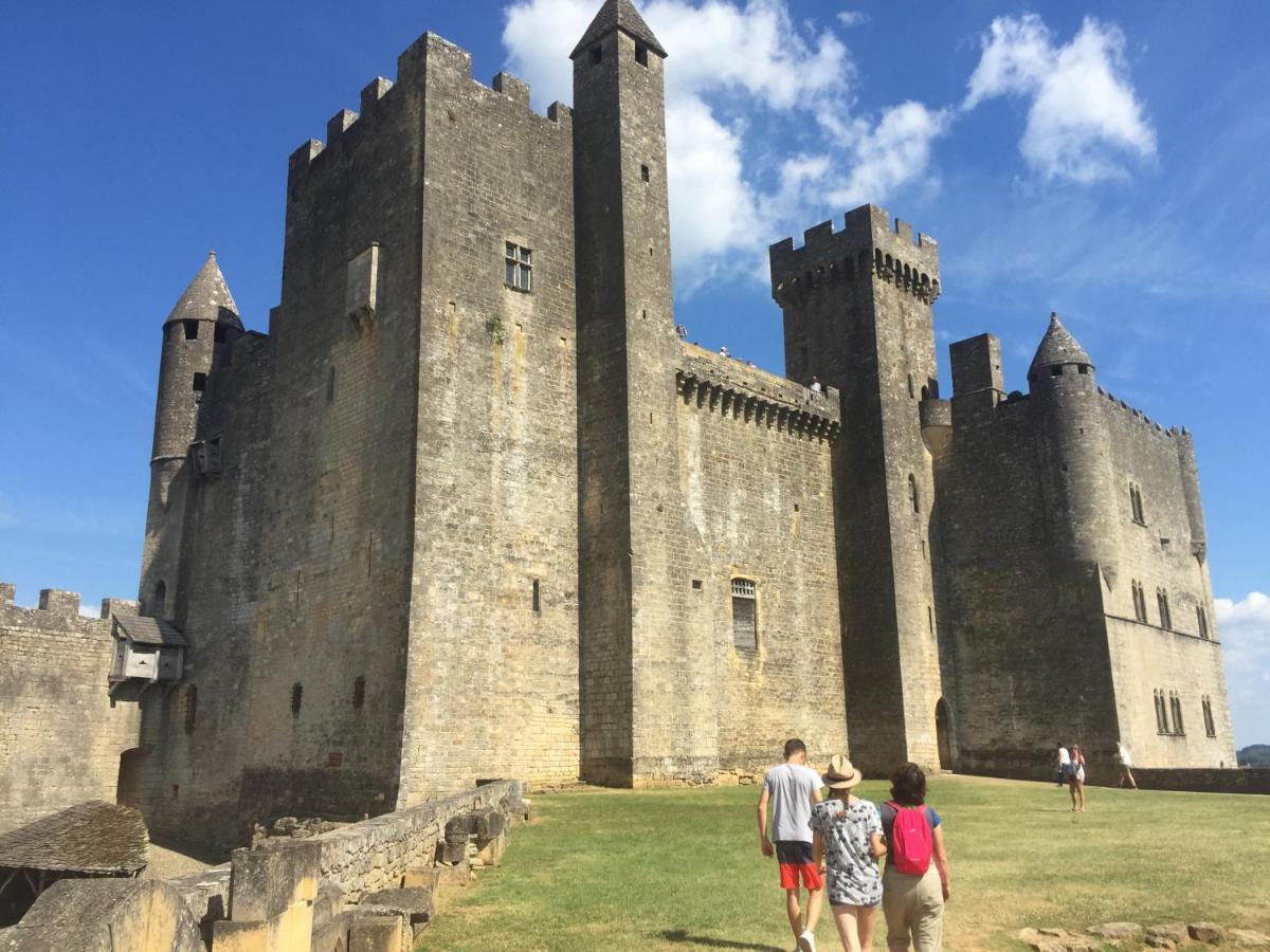 Au Coeur De Beynac, Superbe Maison Du 14Eme Siecle Avec Jardin Panoramique ภายนอก รูปภาพ